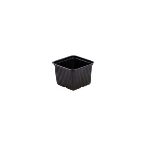 Square pot 10 cm