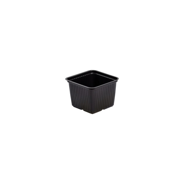 Square pot 10 cm