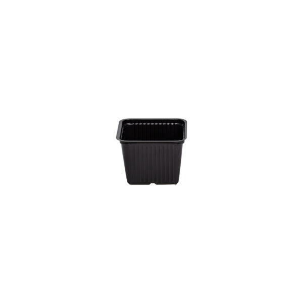Square pot 10 cm
