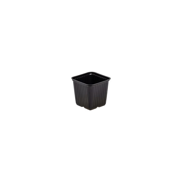 Square pot 7,5 cm