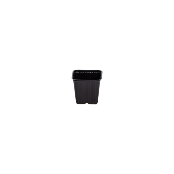 Square pot 7,5 cm