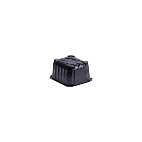 Bærkurv 500 g uten hull