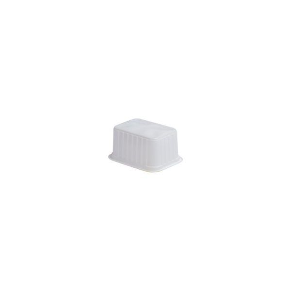 Home freezing container with lid