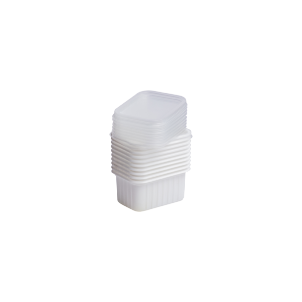 Home freezing container with lid
