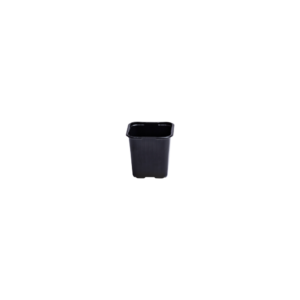 Square pot 8 cm