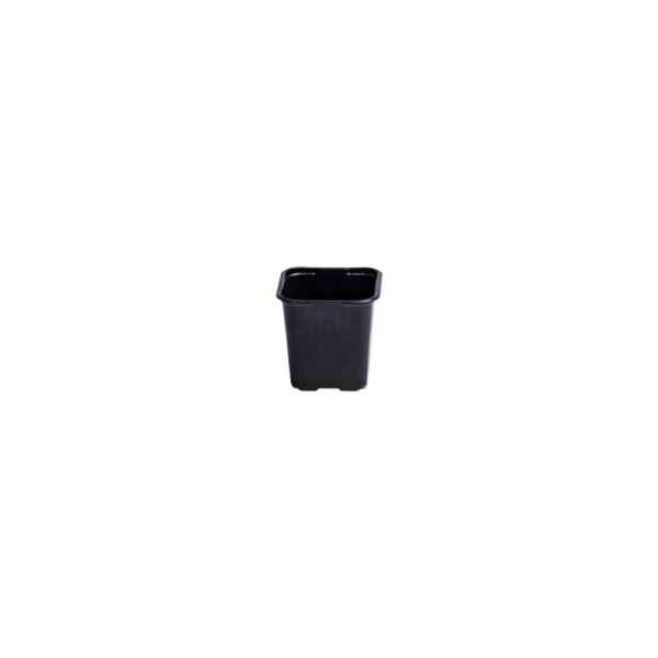 Square pot 8 cm