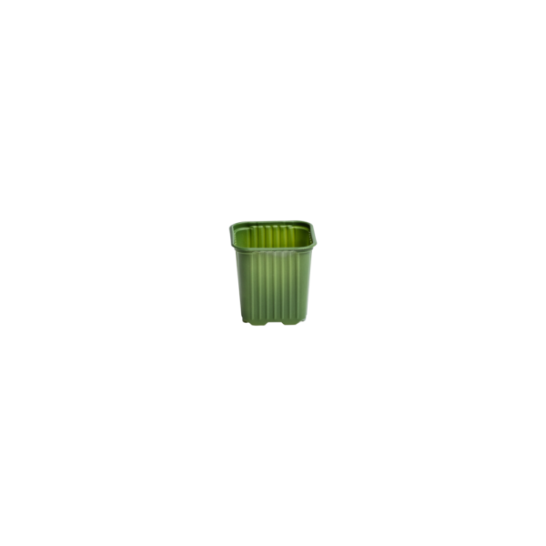 Square pot 8 cm