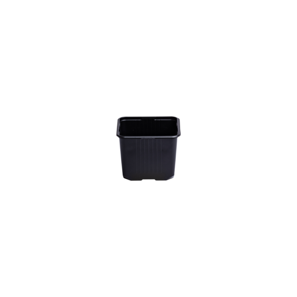 Square pot 11 cm