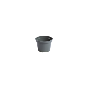 Round pots 10 cm
