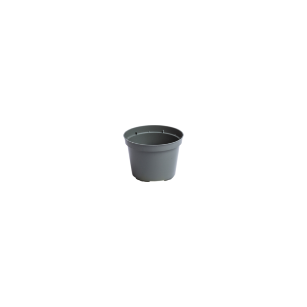 Round pots 10 cm