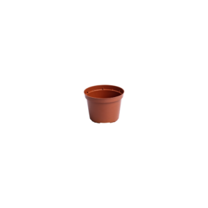 Round pots 10 cm