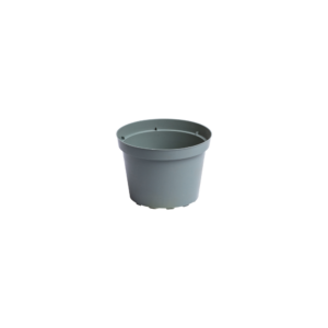 Round pots 15cm