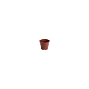 Round pots 6 cm