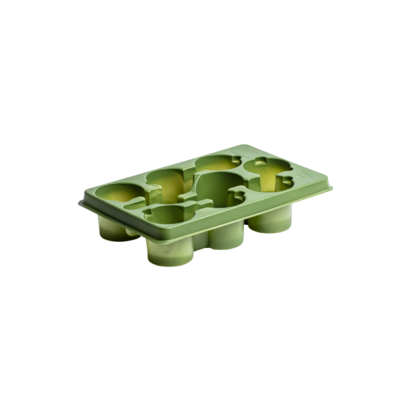 Transport tray Herbs/ Lettuce