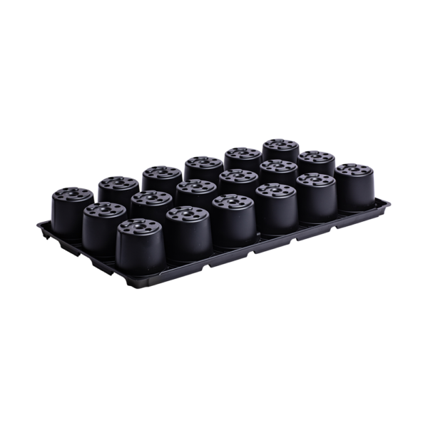 Seeding/Transport tray for PR 909