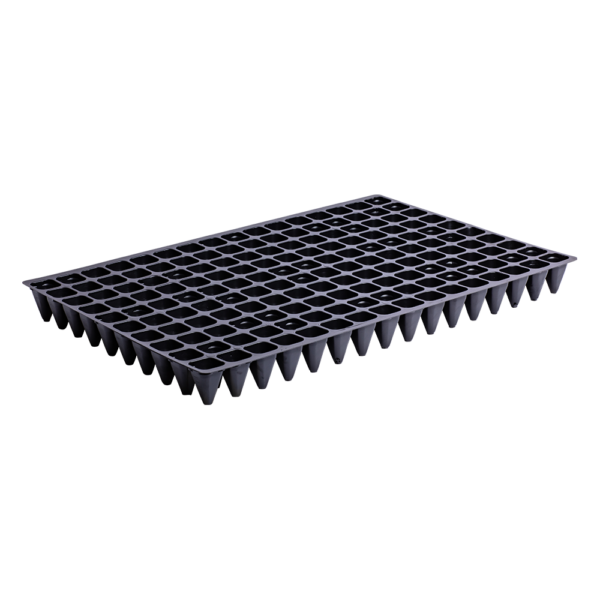 Plug tray 160 cells light 0,6