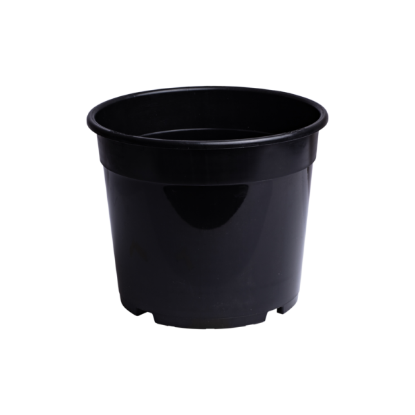 GrowInPot