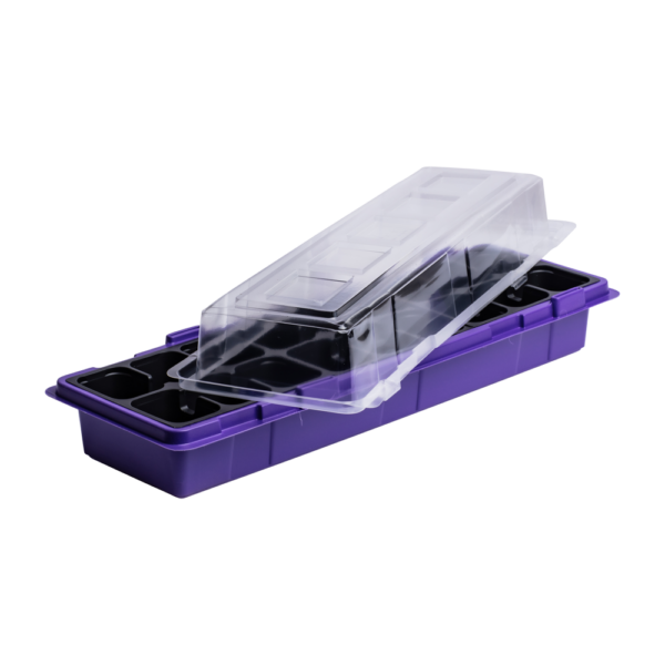 WinDuo 2 pcs MS1