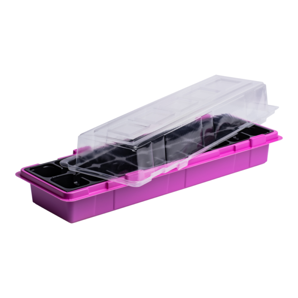 WinDuo 2 pack