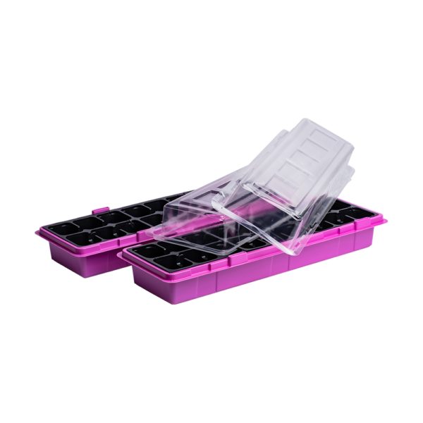 WinDuo 2 pack